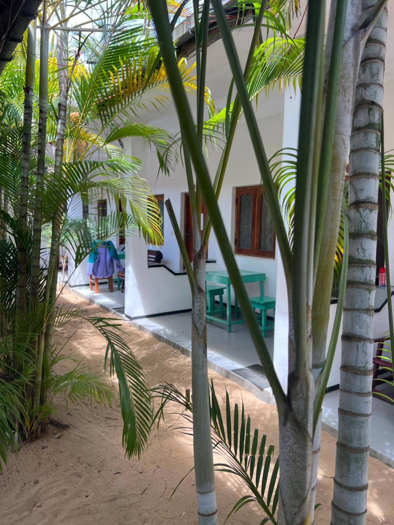 Moxy Bay Arugambay Hotel Arugam Bay Exterior photo