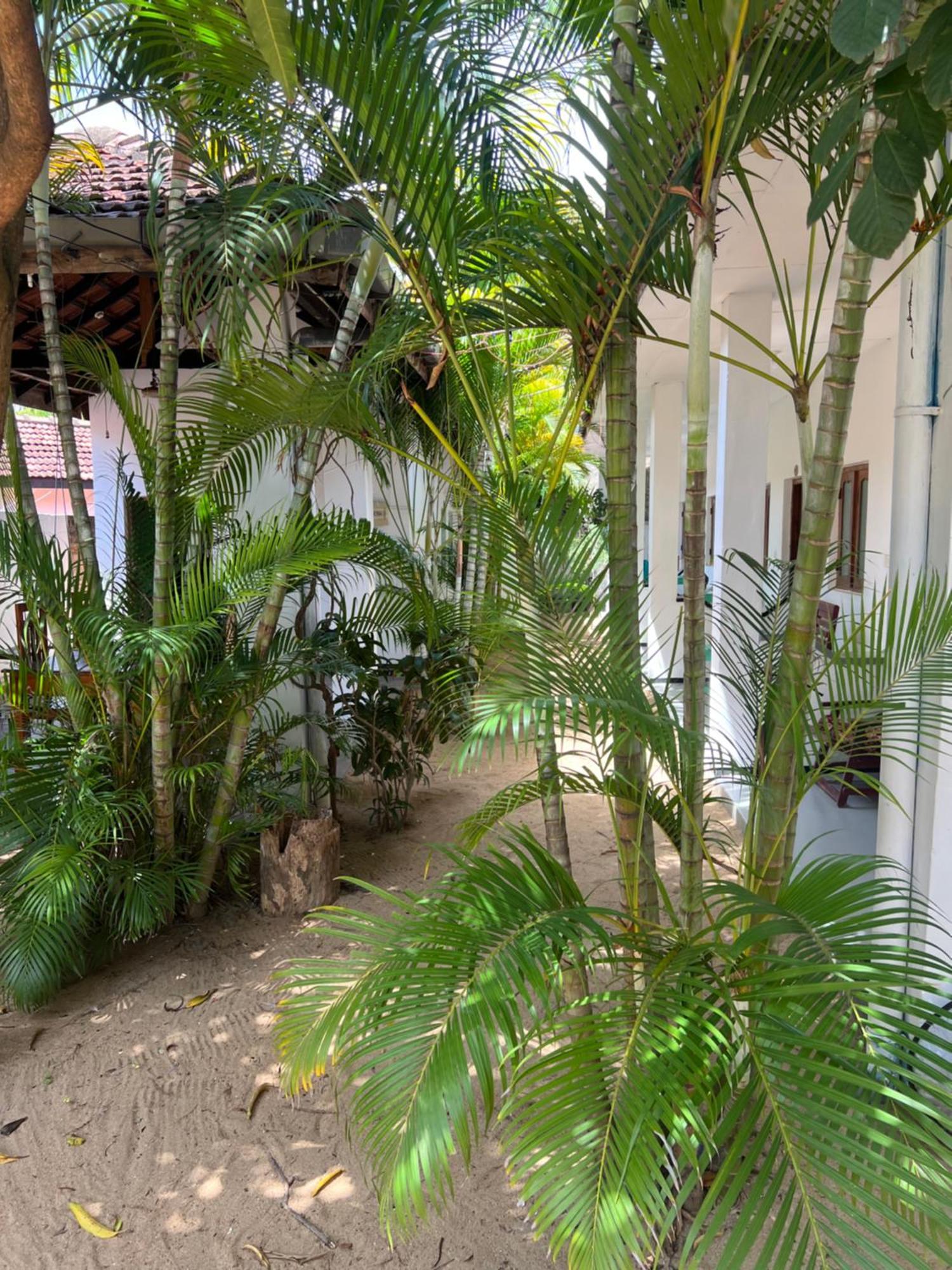 Moxy Bay Arugambay Hotel Arugam Bay Exterior photo