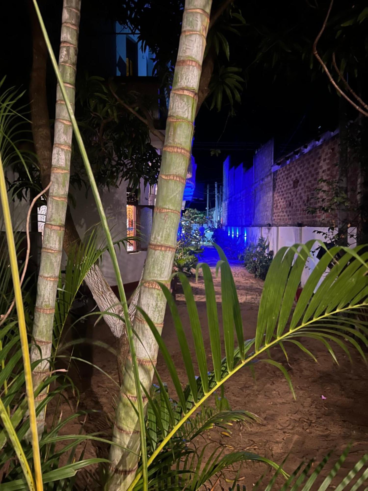 Moxy Bay Arugambay Hotel Arugam Bay Exterior photo