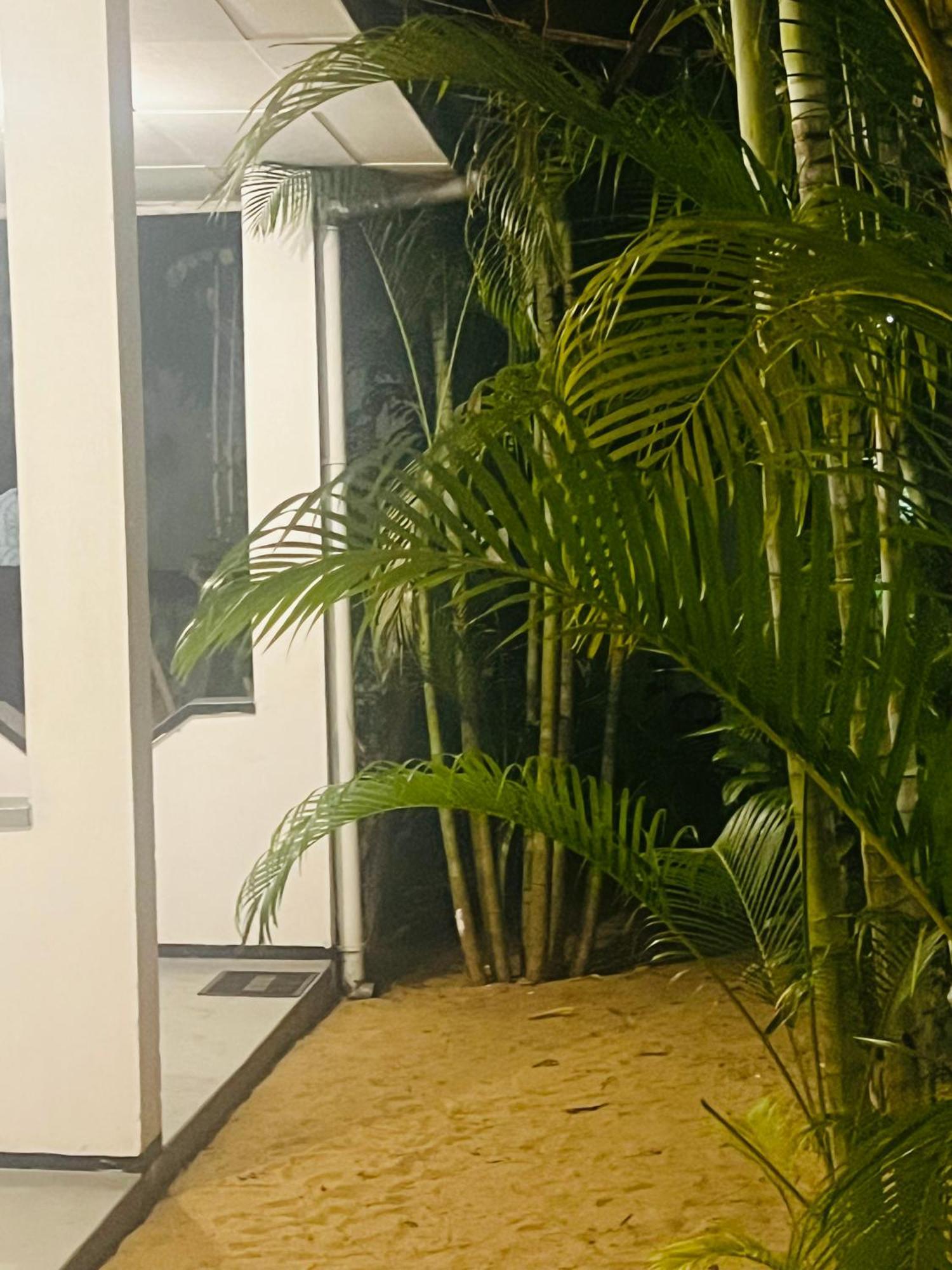 Moxy Bay Arugambay Hotel Arugam Bay Exterior photo