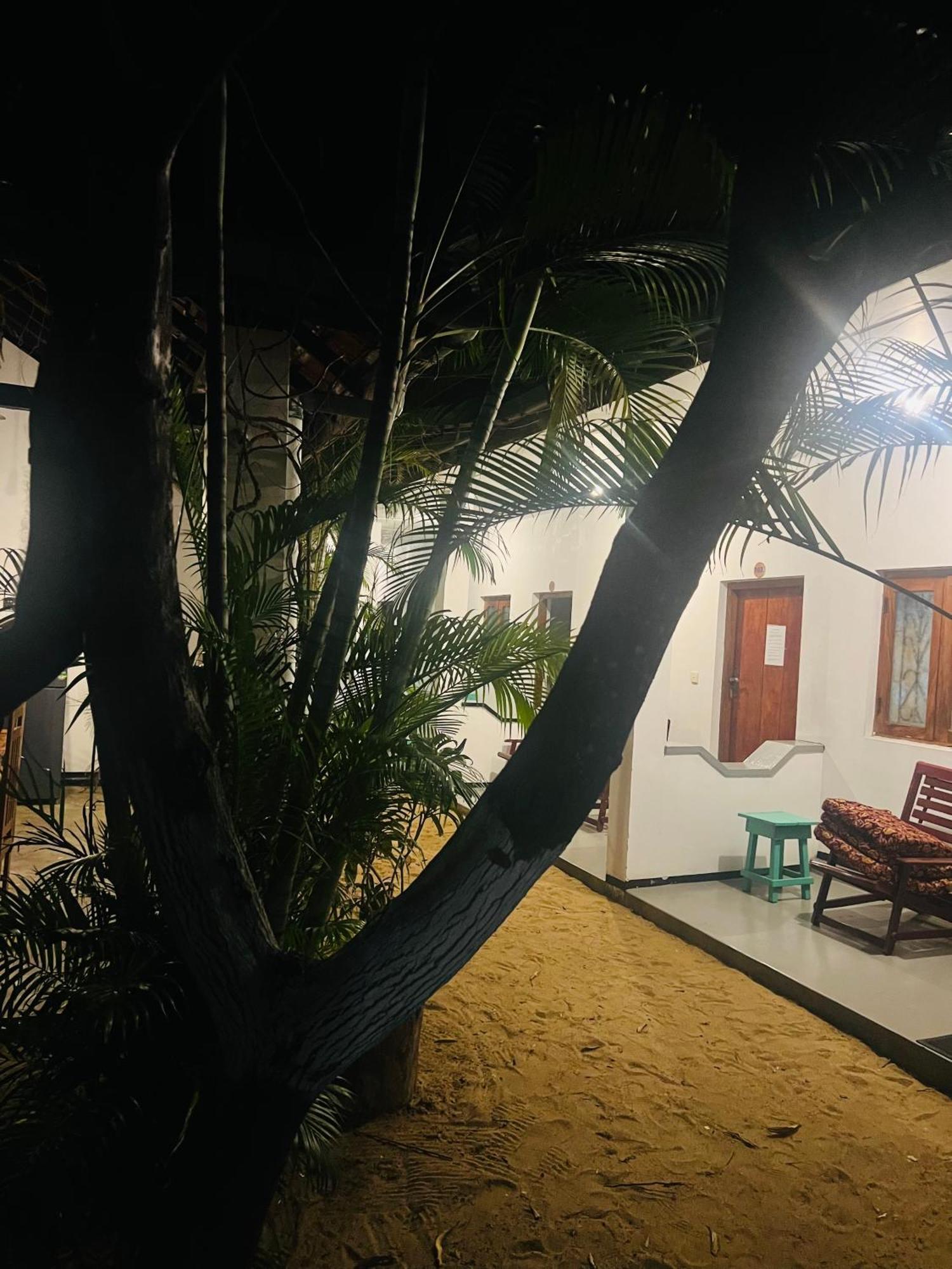 Moxy Bay Arugambay Hotel Arugam Bay Exterior photo